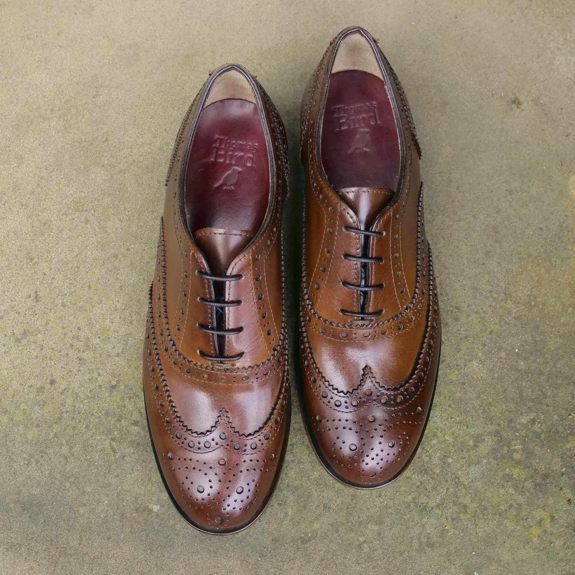 Siena Wingtip Oxford Brogue Tan